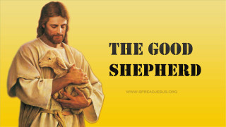 Man holding lamb good shepherd - free dogs wallpaper for desktop