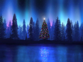 Christmas tree night lake reflection - ernest william christmas free wallpaper for desktop