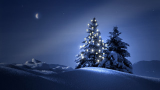 Snowy hill christmas tree lit - a moon in the sky above free wallpaper