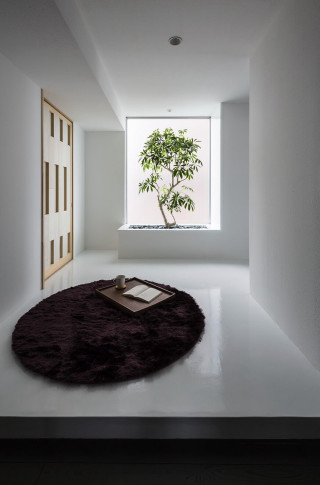 Room tree window potted plant - free minimalism wallpaper