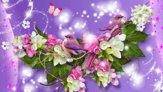 Purple background flowers birds butterfly - bird free wallpaper for desktop