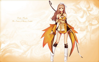 Woman sword wings costume fantasy - a costume free wallpaper