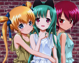 Anime girls long hair cat 4 - a brick wall free wallpaper