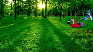 Lawn mower gnome park trees - adam szentpétery free wallpaper