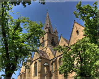 Gothic church clock tower tree - a tree in front free wallpaper