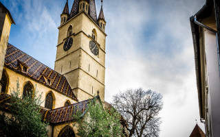 Tall building clock tree front - the front of its free wallpaper