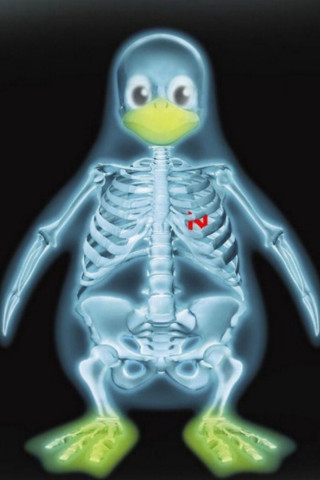 Skeleton penguin yellow beak black - figurativism free wallpaper for mobile