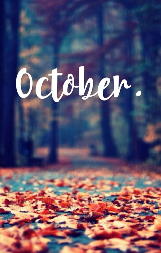 Leaf covered path october bench - free autumn wallpaper for mobile