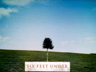 Six feet under tree field - movie poster free wallpaper