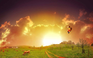 Kite flying field cows grazing - cow free wallpaper