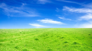 Green grass blue sky bench 2 - the background and a bench in the foreground free wallpaper