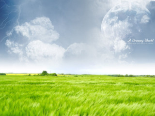 Green grass lightning bolt full - a full moon in the sky above free wallpaper for desktop