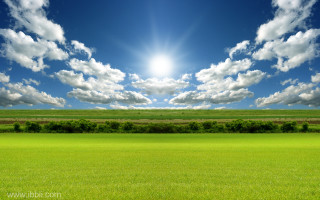 Sunlit field grass trees blue 2 - a bright sun in the sky above free wallpaper