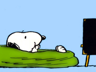 Cartoon dog bean bag sign - charles schulz free wallpaper