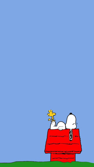 Snoopy dog red box star - charles schulz free wallpaper for mobile