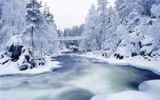 River forest snow trees bridge - free winter wallpaper
