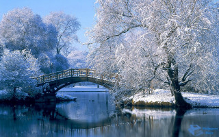 Bridge river snow trees small 4 - movement free wallpaper