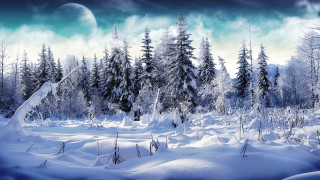 Snowy landscape trees moon blue - a full moon in the distance free wallpaper