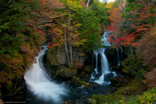 Waterfall forest fall foliage stream - fall foliage free wallpaper