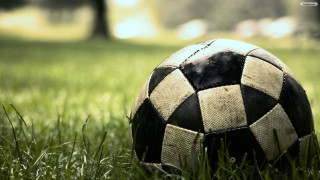 Soccer ball grass park trees 2 - a soccer ball free wallpaper