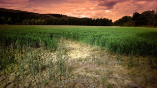 Field rocks grass red sky - rock and grass free wallpaper