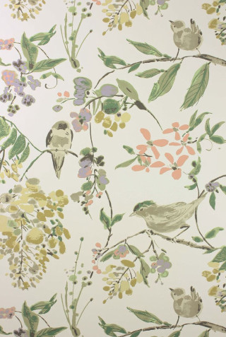 Bird flowers branch leaves wallpaper - painting free wallpaper