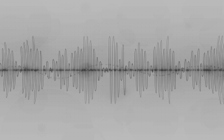 Black white sound wave lake - vector curve free wallpaper