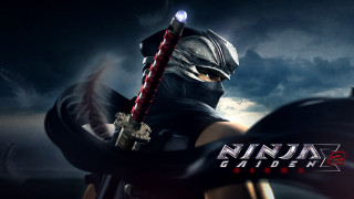 Ninja gaiden 2 character sword - aleksander gine free wallpaper