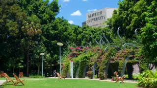 Georgetown university summer green field - a lush green field next free wallpaper