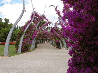Walkway purple flowers metal arches - alexander stirling calder free wallpaper