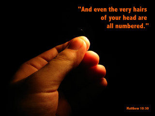 Person holding cigarette quote on - arthur quartley free wallpaper