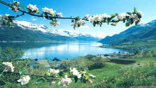 Lake mountains flowers town snow - allan linder free wallpaper