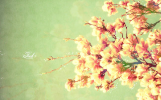 Pink flowers green background tree - a green background free wallpaper for desktop