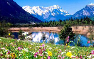 Beautiful mountain lake wildflowers foreground - the foreground and a mountain range in the background free wallpaper for desktop