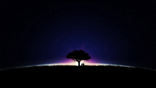 Lone tree field night purple - sky free wallpaper for desktop