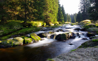 Stream forest rocks trees sunny - river free wallpaper
