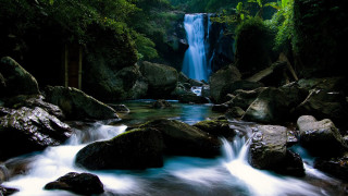 Waterfall forest rocks flowing water - a waterfall in the middle of a forest free wallpaper