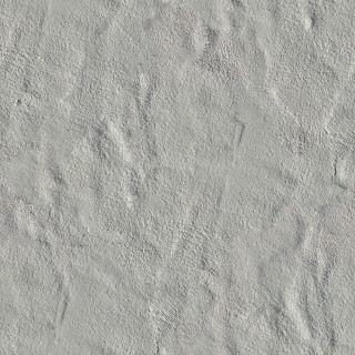 White wall small bird other - side and a bird free wallpaper