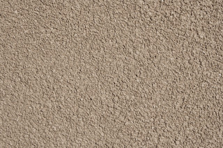 Tan wall black white cat - dull free wallpaper