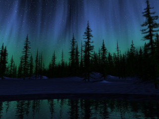 Night lake trees aurora lights 2 - a lake and trees free wallpaper