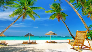 Beach chairs umbrellas palm trees 3 - chair and umbrellas free wallpaper