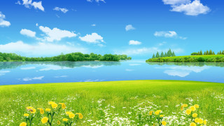 Beautiful green field flowers lake 2 - bob ross free wallpaper