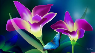 Butterfly purple flower blue background 4 - a green border free wallpaper