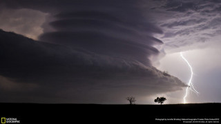 Storm cloud lightning tree foreground - single free wallpaper