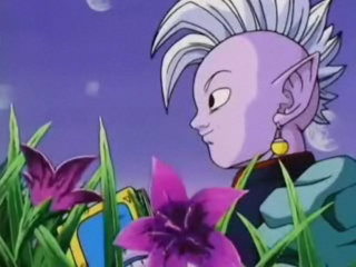 Purple hair flower bokeh outdoors - akira toriyama free wallpaper