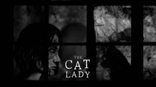 Cat lady looking out window - david firth free wallpaper