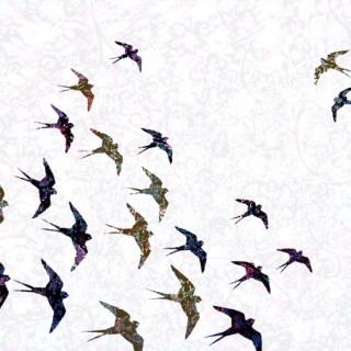 Flock of birds flying sky - kinetic pointillism free wallpaper for tablet