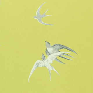 Birds flying wings feathers angel - free bird wallpaper for tablet