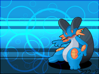 Blue white bird orange wings - a black tail free wallpaper