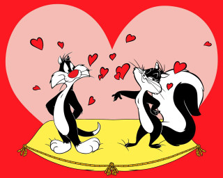 Cats pillow heart wallpaper love - loony toon free wallpaper